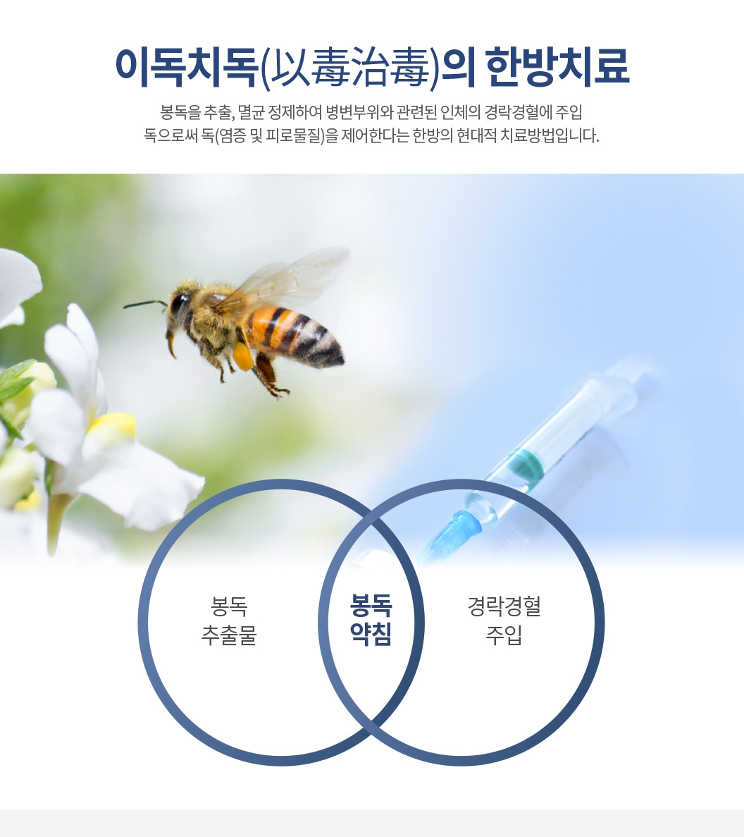 대한민국365한의원_봉독약침