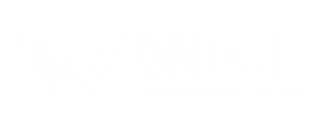 World DJ Festival Japan
