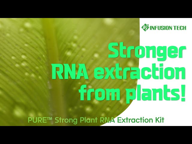 [PRG821] PURE™ Strong Plant RNA Extraction Kit manual VOD : User manual ...