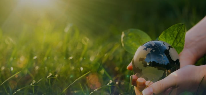 <p style="letter-spacing: 2px; font-weight:bold;">   ORAGNIZATION<br>INFORMATION </p>