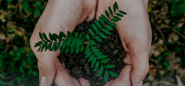 <p style="font-weight: bold; letter-spacing:1px;">H I S T O R Y</p>