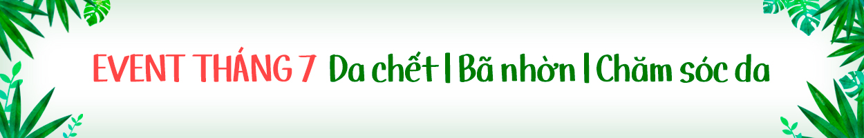 Không gồm VAT