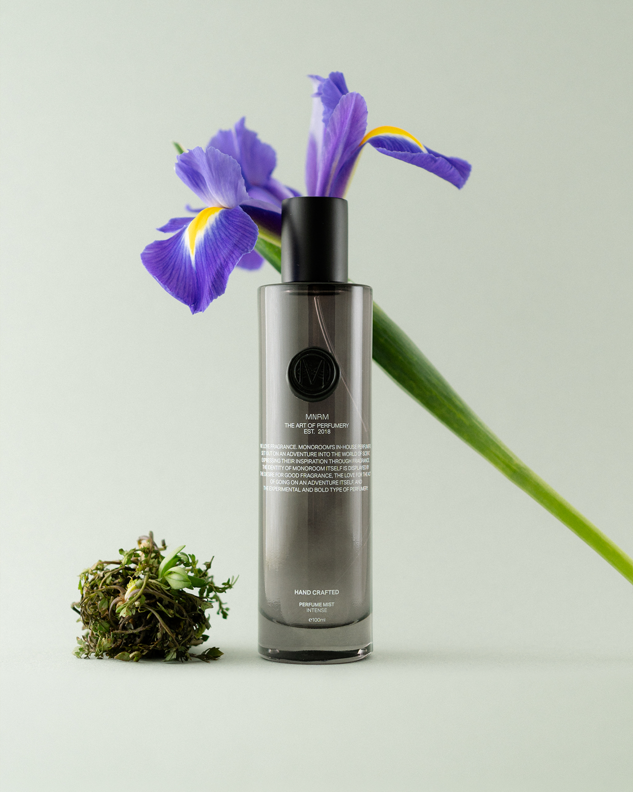 Black Iris