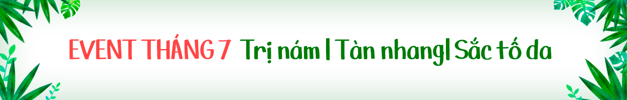 Không gồm VAT