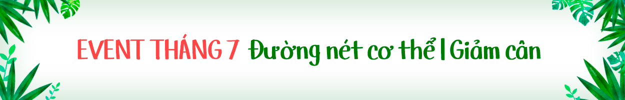 Không gồm VAT