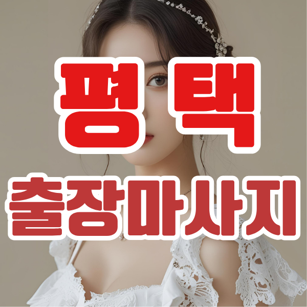 평택출장마사지 평택출장안마 평택출장