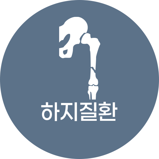 하지질환