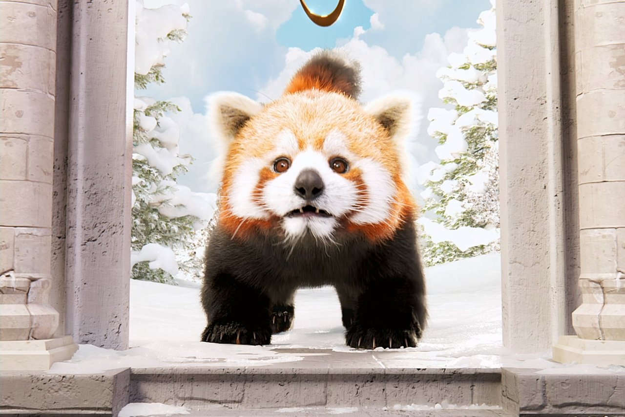 <span style="font-weight: bolder; letter-spacing: 0.5px; color: white; text-shadow: 0.7px 0.7px rgba(0, 0, 0, 0.2)"> SAVE THE LESSER PANDA </span>