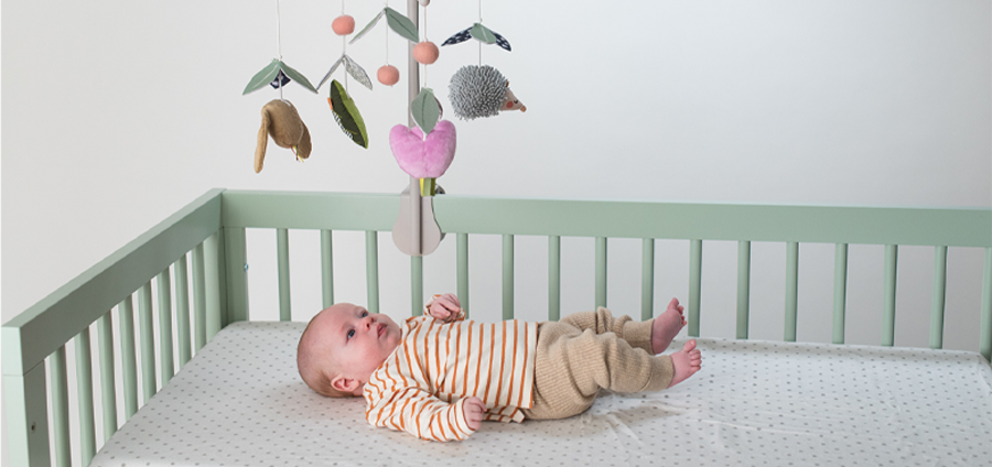 안정적인 수면 습관 형성