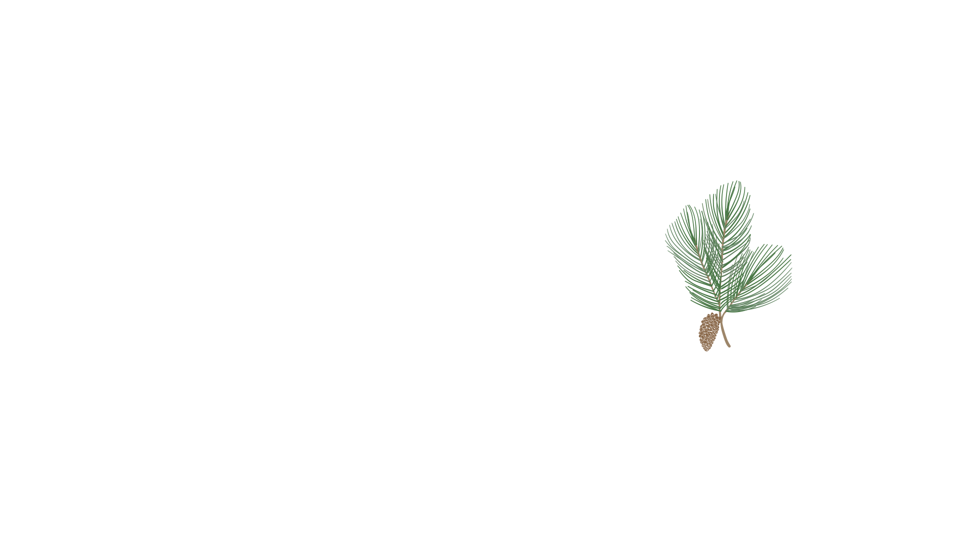 mobile background