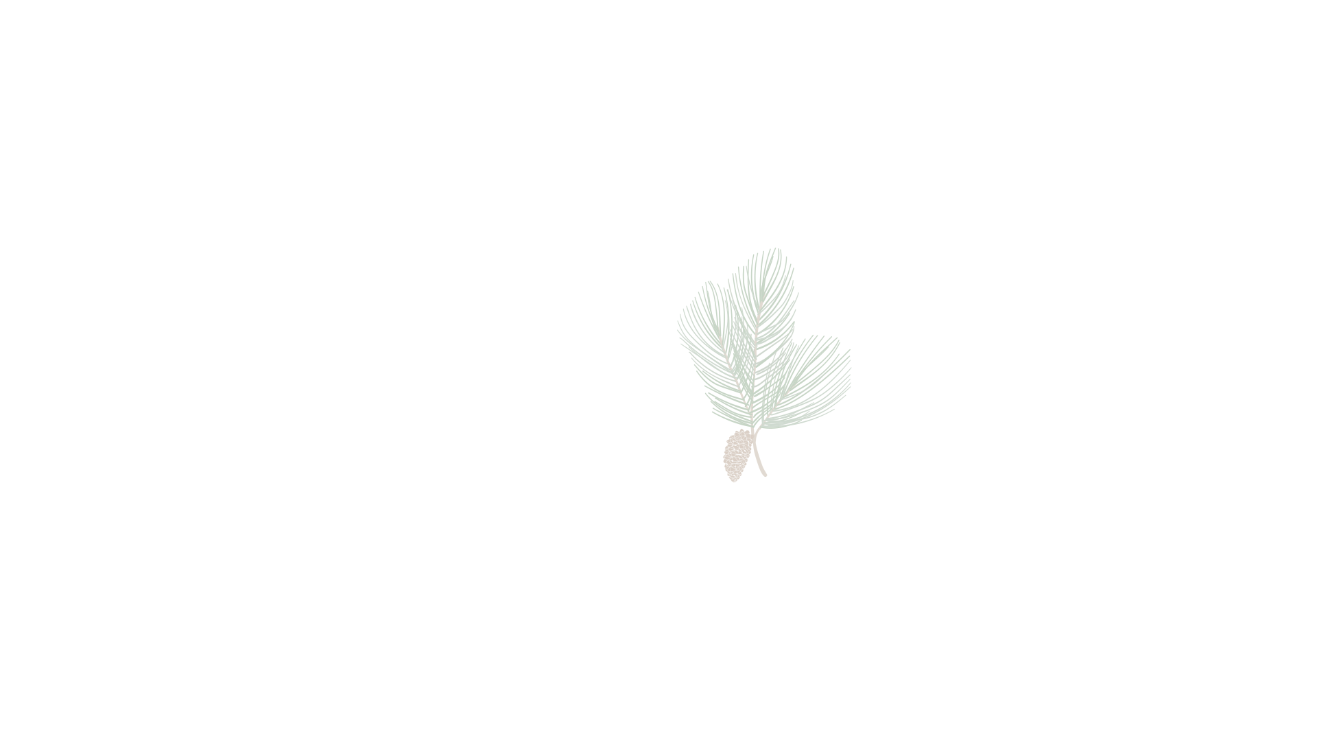 mobile background
