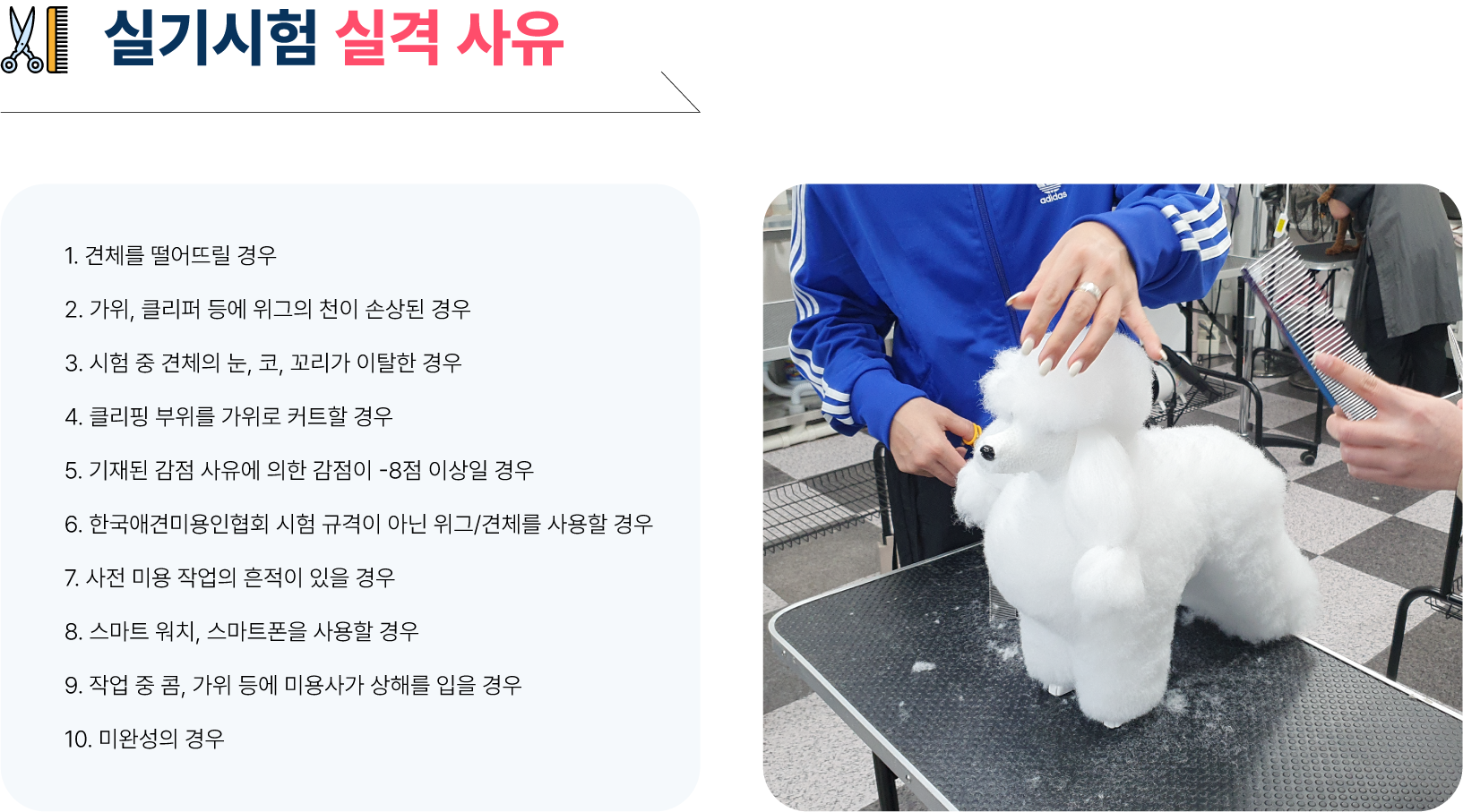 < 애견미용자격증 실기시험 실격 사유 >  1. 견체를 떨어뜨릴 경우 2. 가위, 클리퍼 등에 위그의 천이 손상된 경우 3. 시험 중 견체의 눈, 코, 꼬리가 이탈한 경우 4. 클리핑 부위를 가위로 커트할 경우 5. 기재된 감점 사유에 의한 감점이 -12점 이상일 경우 6. 정해진 시험용 위그/견체와 다른 모양의 위그/견체의 경우 7. 사전 미용 작업의 흔적이 있을 경우 8. 스마트 워치, 스마트폰을 사용할 경우 9. 작업 중 콤, 가위 등에 미용사가 상해를 입을 경우 10. 미완성의 경우