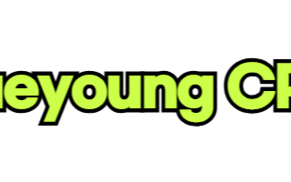 대영회계법인 사업비정산