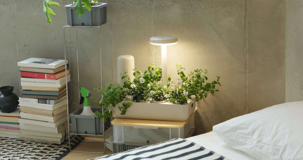 <strong>침대 옆에서</strong>