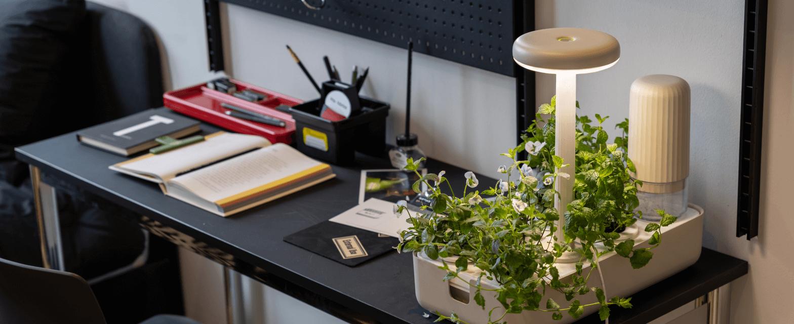 <strong>책상에서</strong>