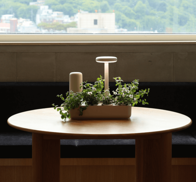 <strong>거실에서</strong>