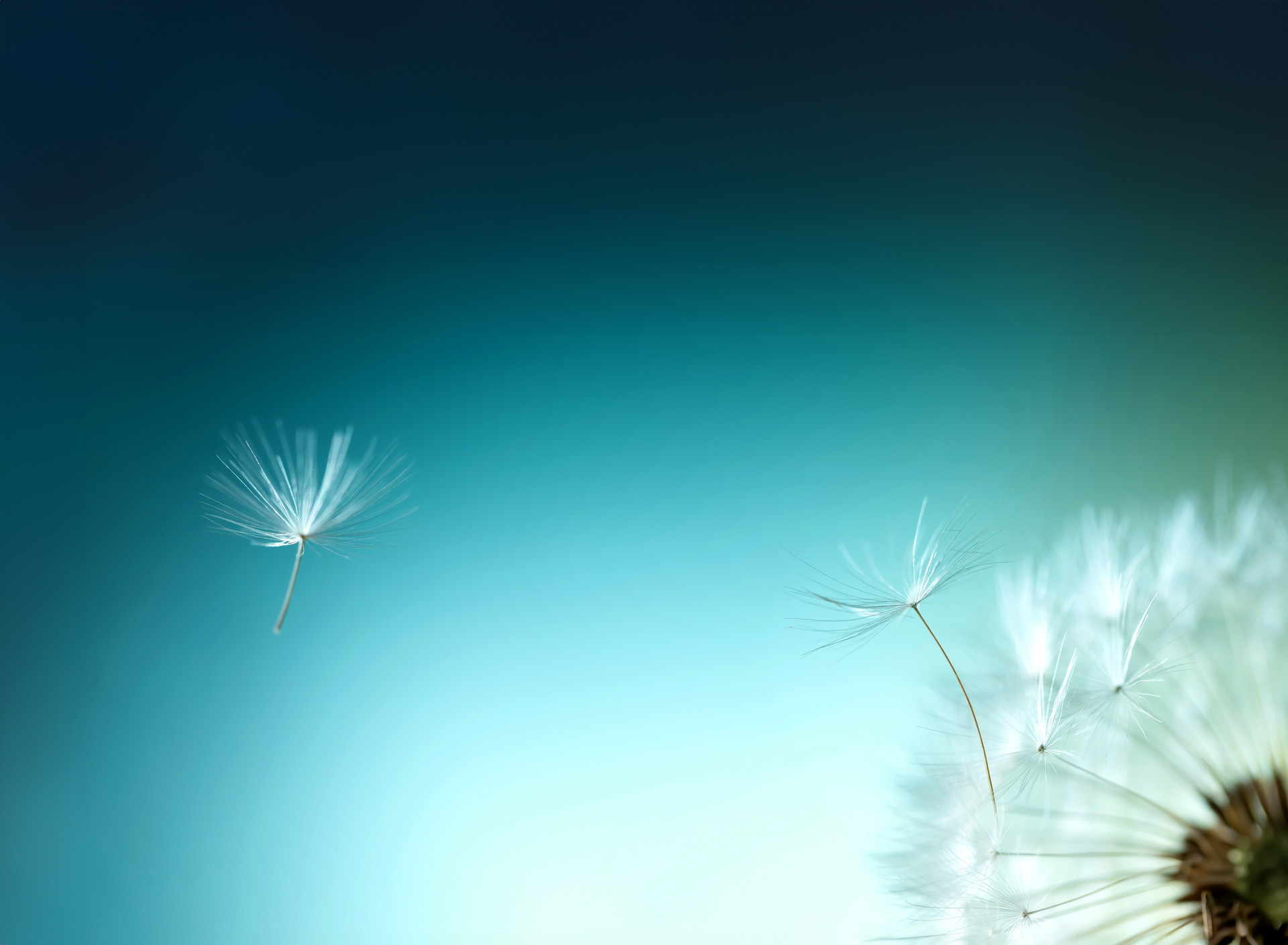 mobile background