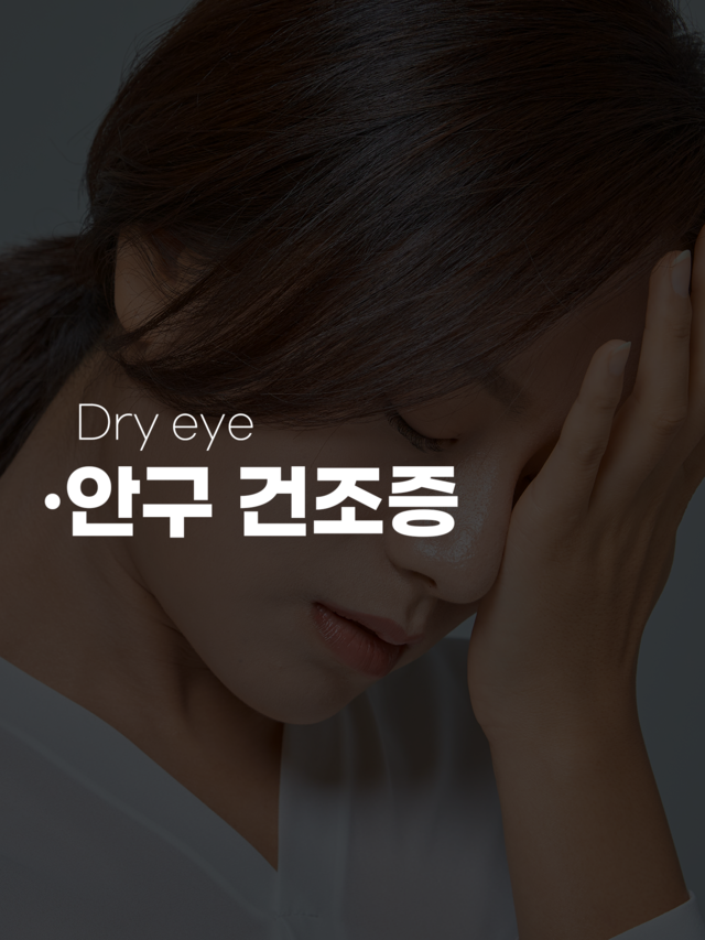 안질환 진단 및 치료