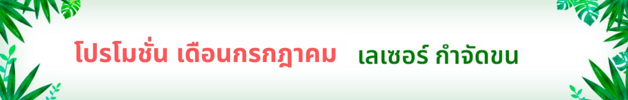 ยังไม่รวม VAT