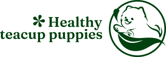 healthy teacup puppies