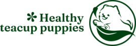 healthy teacup puppies