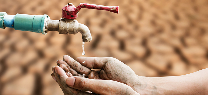 <h6 class="w-number"><span class="count-n count_num4">78</span><span>만명</span></h6><p class="w-title">2024년 한 해 동안 기후위기로부터 삶이 회복된 사람들의 수</p>