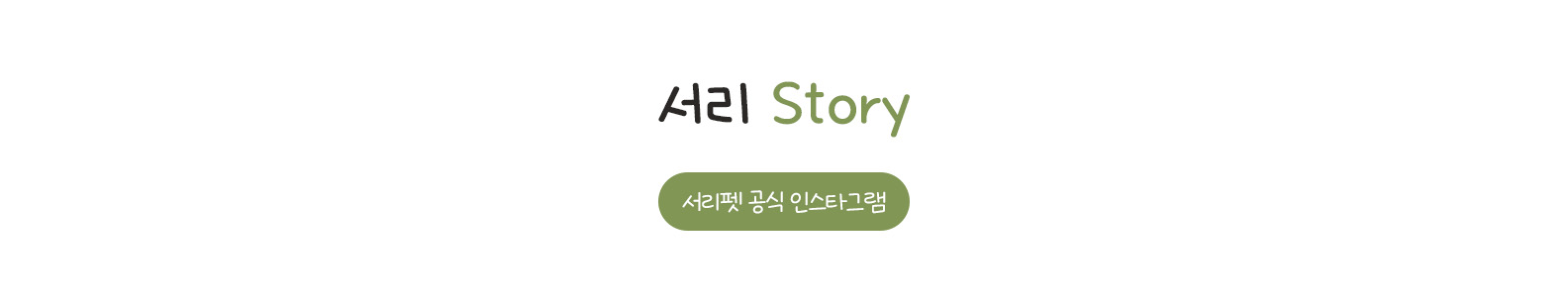 서리 Story 서리펫 공식 인스타그램