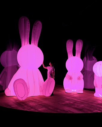 <span class="artwork-new">new</span>
