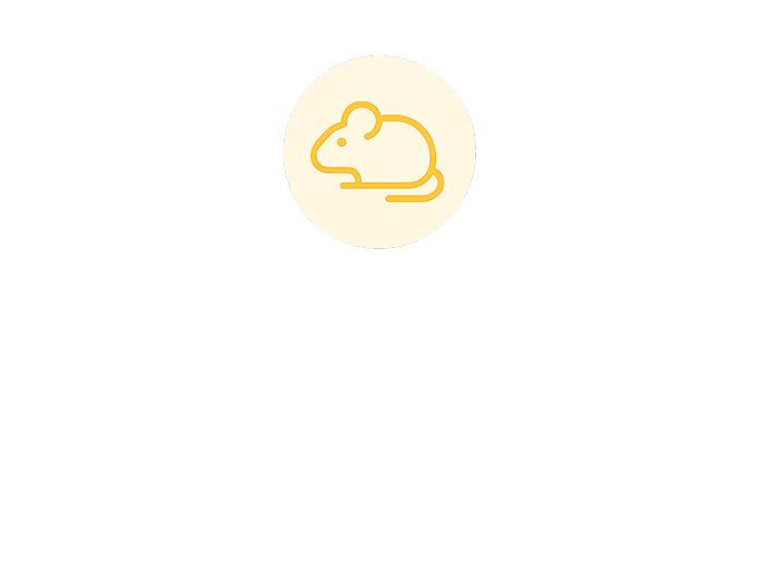 <p><span style="font-size: 18px;"><strong><span style="color: rgb(5, 4, 4);">동물모델 기반 전임상 검증</span></strong></span></p>  <p><span style="font-size: 14px; color: rgb(60, 60, 60);">다양한 동물모델을 통한 약물의 유효성 및 안전성 전임상 시험</span></p>