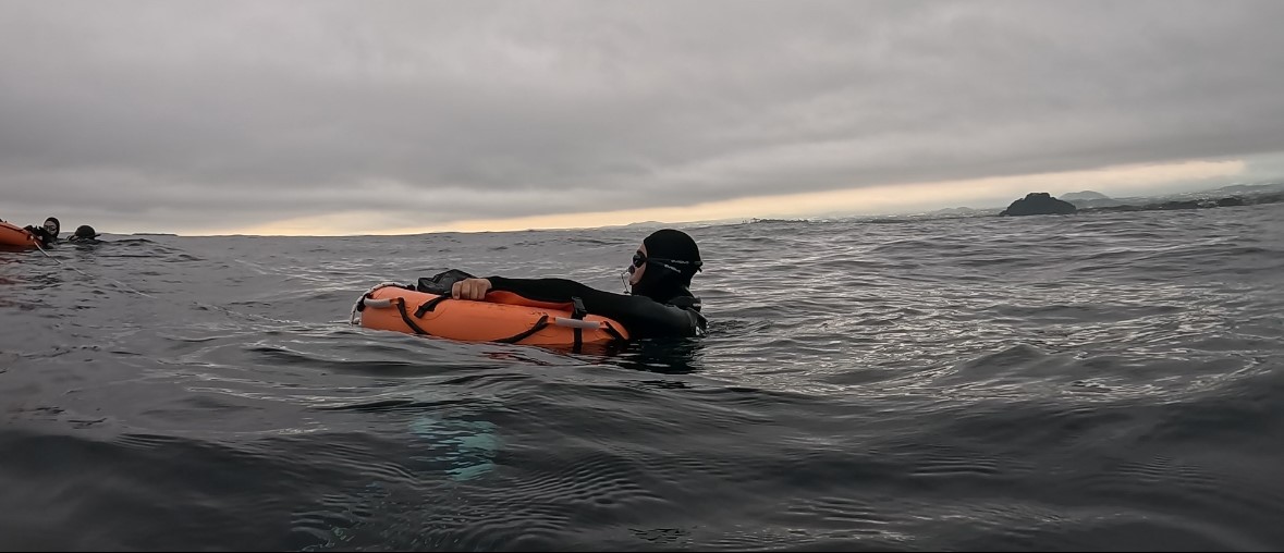 STARLIGHT FREEDIVE