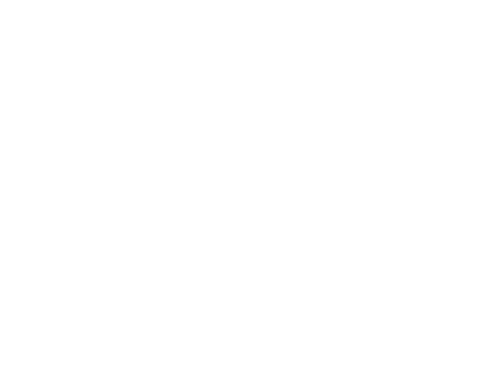 밍크플라이
