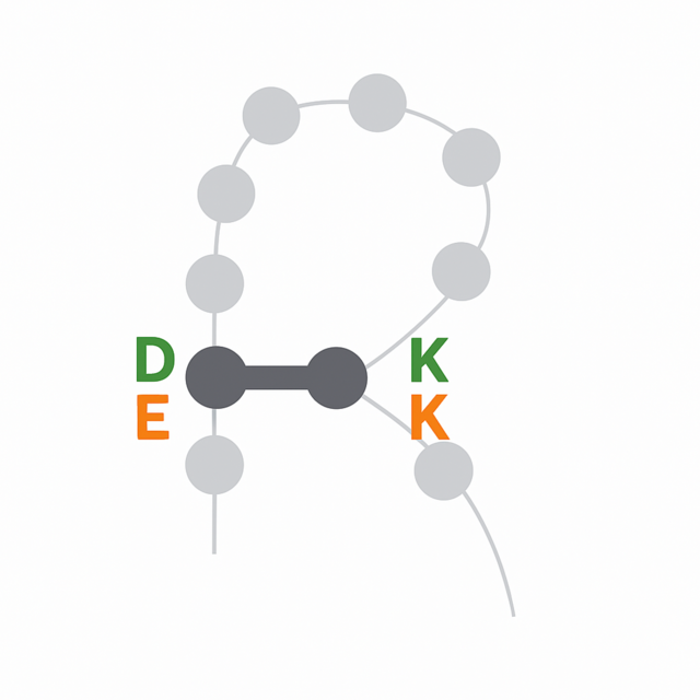 아미노산 서열 분석
