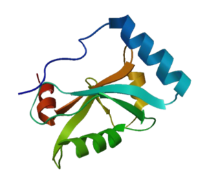 단백질 구조 시뮬레이션