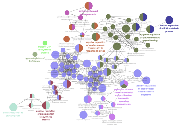 타깃 단백질 및 유전자 도출