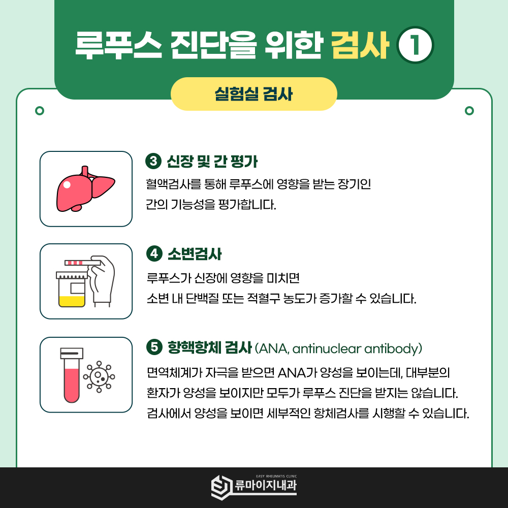신장 간 평가 소변검사 항핵항체 검사