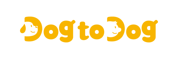 독투독, 반려견의 가장 행복한 건강을 채워드려요