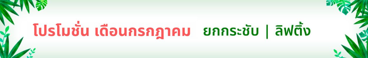 ยังไม่รวม VAT