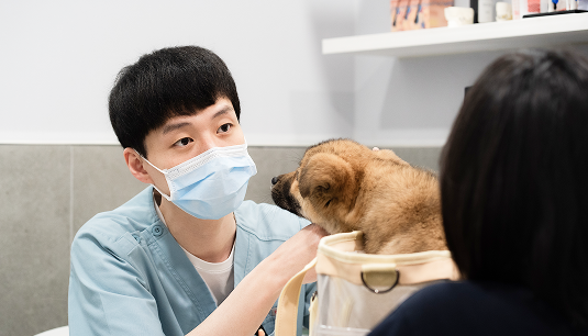 홍보 마케팅