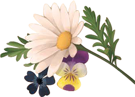 Long Ago on a Silent Night