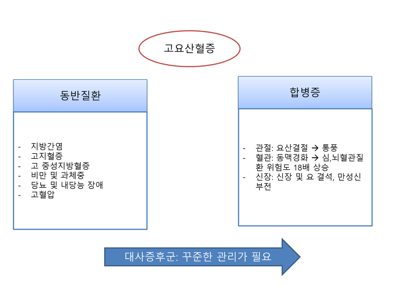 지방간염 고지혈증 고중성지발혈증 당뇨 내당능장애 고혈압 동맥경화 신장결석 만성신부전 대사증후군