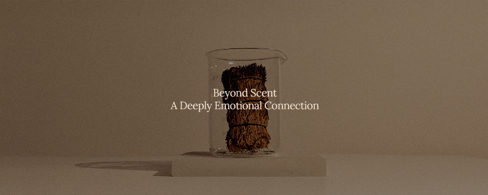 센트맵 | SCENT MAP