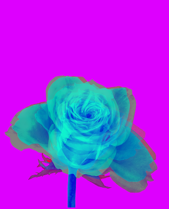 <span class="artwork-new">new</span>