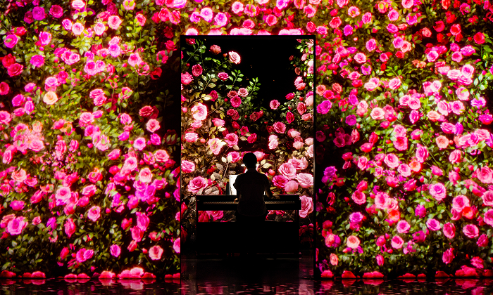 <span class="artwork-new">new</span>