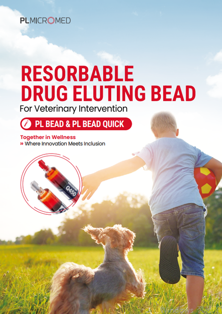 [피엘마이크로메드] PL BEAD(-QUICK) 제품 카탈로그 : 피엘마이크로메드 | News