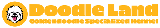 DOODLELAND