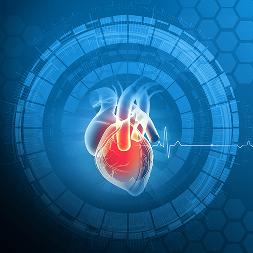 Lolen Shampoo<br>Cras fermentum odio eu.<br><br><br> 15,900won