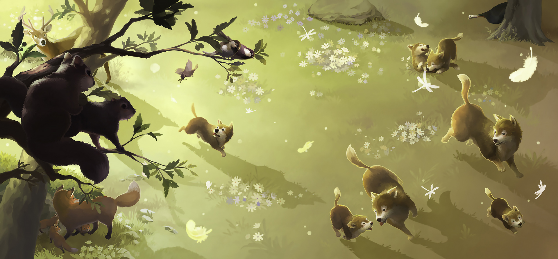 In the Quiet, Noisy Woods