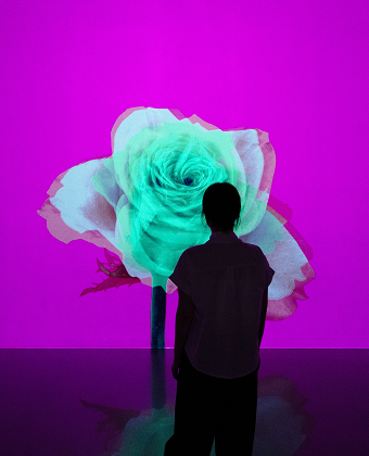 <span class="artwork-new">new</span>