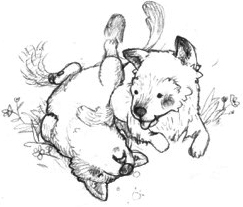 Long Ago on a Silent Night