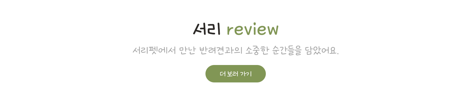 서리 review 서리펫에서 만난 반려견과의 소중한 순간들을 담았어요.